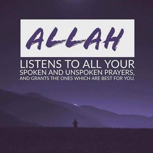 Meet your Posher, Sabah